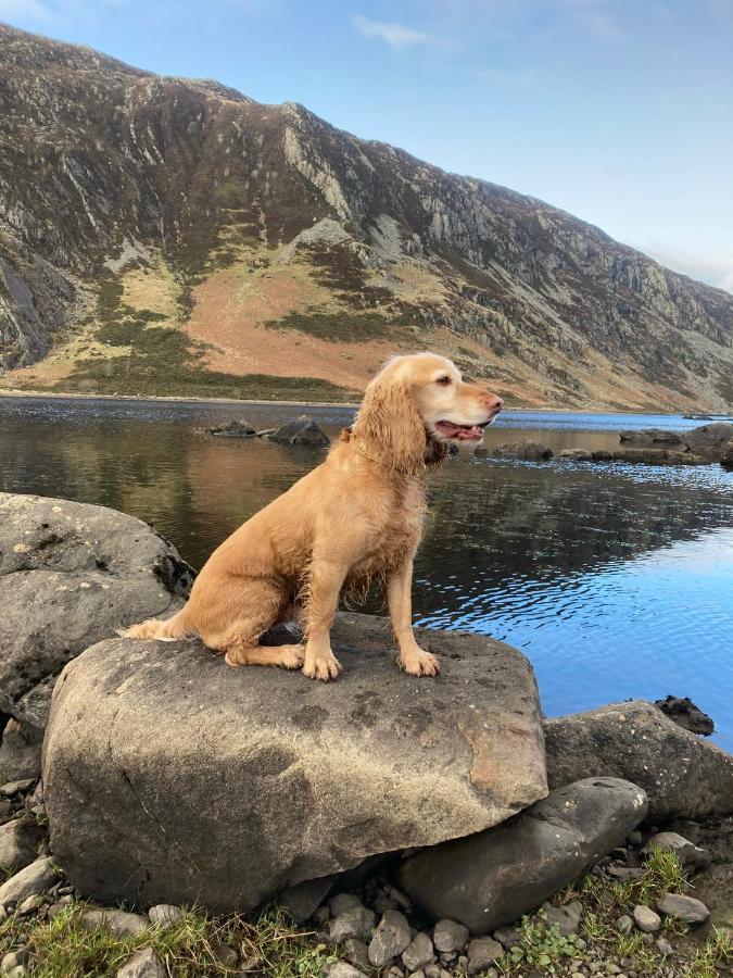 Graiglwyd Springs Holiday Cottages Conwy Buitenkant foto